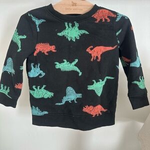 Cat & Jack Dinosaur Sweatshirt - Black, Red, Green